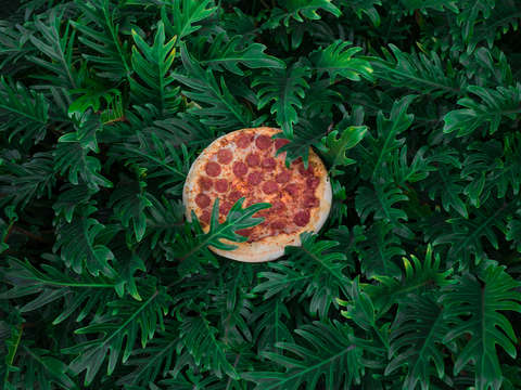 Natural pizza
