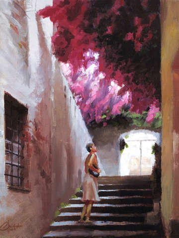 The bougainvillea