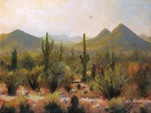 Morning at lost dog wash trail