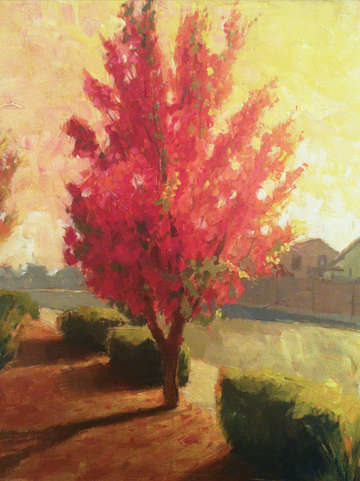 Spring Bloom