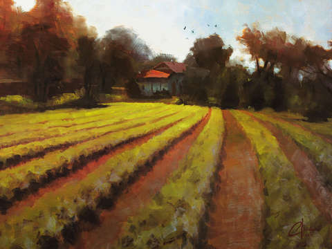 The basil farm