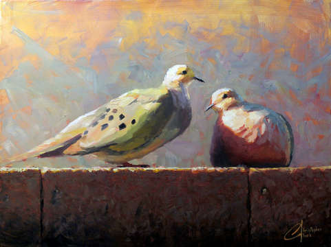 Doves in love