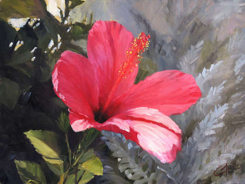 Pink hibiscus