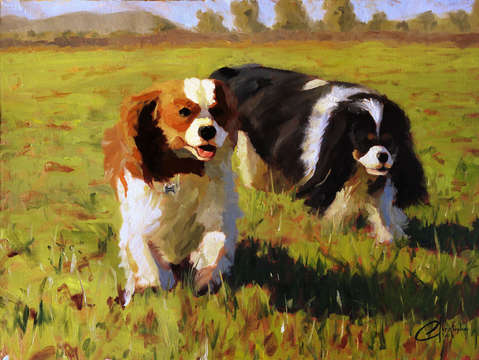 Playful cavaliers