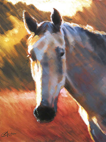 Grey Horse at Sunset II