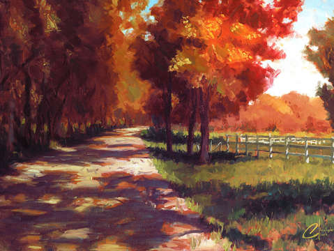 Autumn path colorado