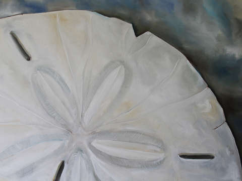 Sand Dollar
