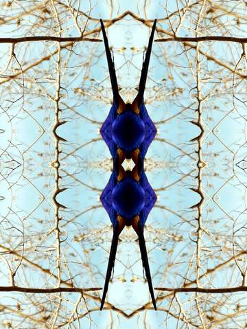 Photograph 24