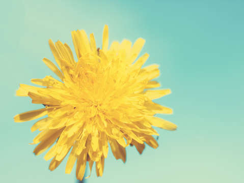 You are my sunshine 2