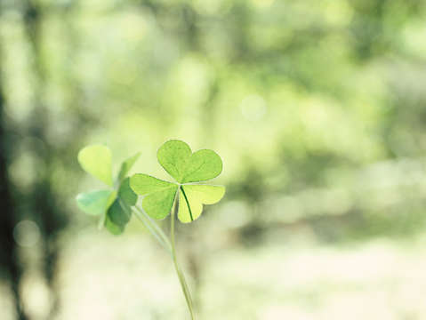 Finding love in nature