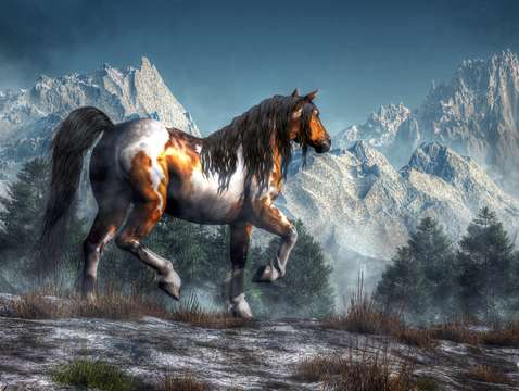 Winter horse