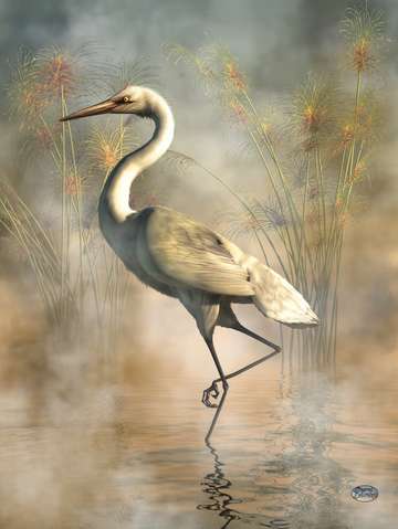 Egret