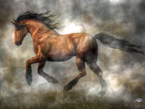 Horse 2