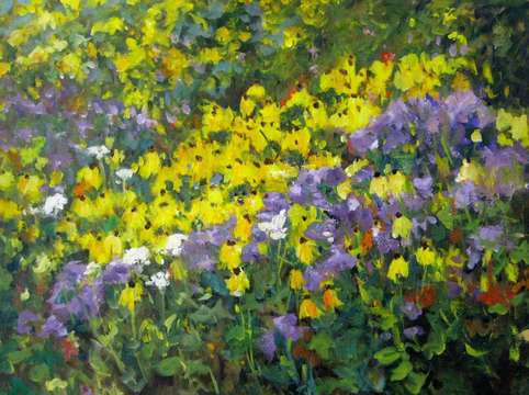 Yellow purple 3