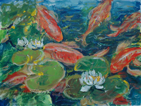 Koi 5