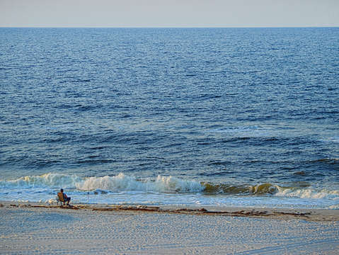 Big ocean big fish
