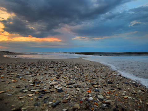 Shells on the beach