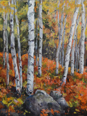 Birch trees 2