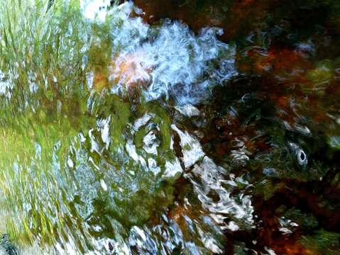 abstract stream reflection 1
