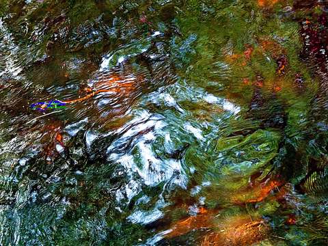 Nature abstraction 2