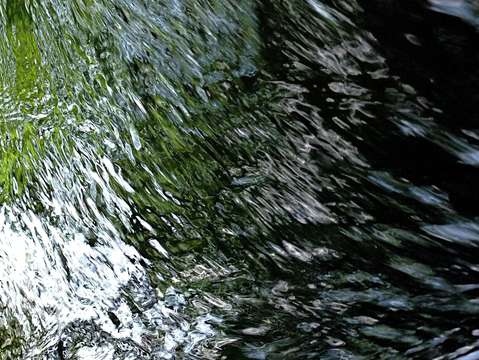 Abstraction of nature 3