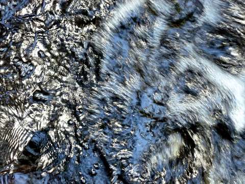 Abstraction of nature 4