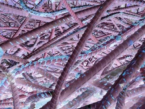 rebar 2