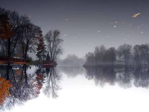 Floating sky debris in the fog