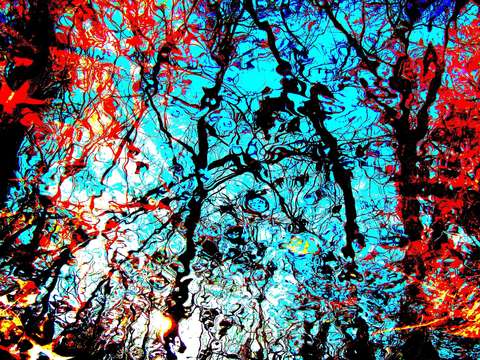Nature abstraction 3