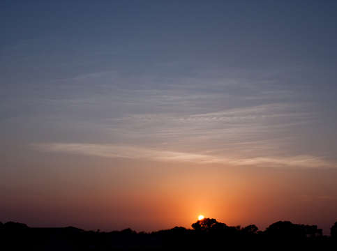 Put the sun into the trees