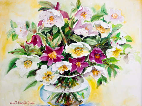 Christmas roses
