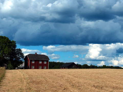 Before the storm 3
