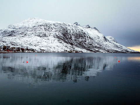 Winter reflection