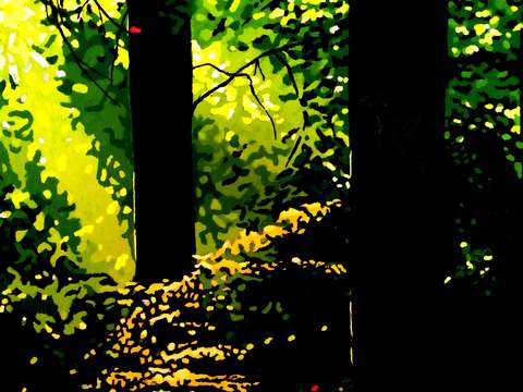 Light through