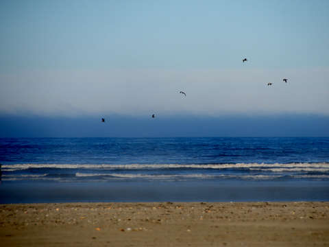The Shore