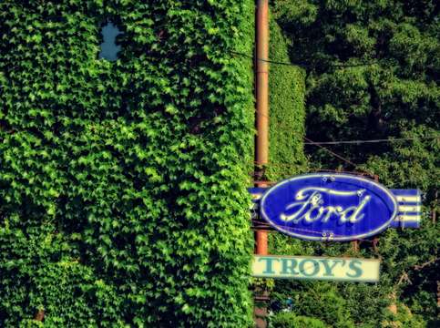 Ivy ford