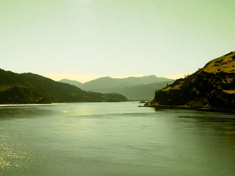 Columbia mosier