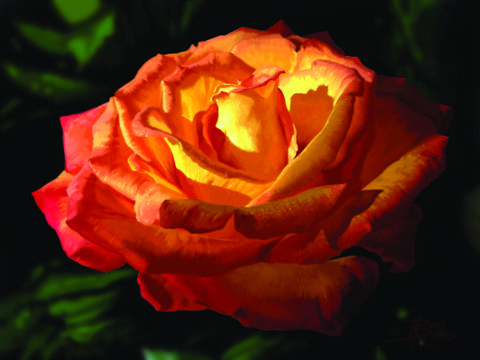 A Rose for Eunice