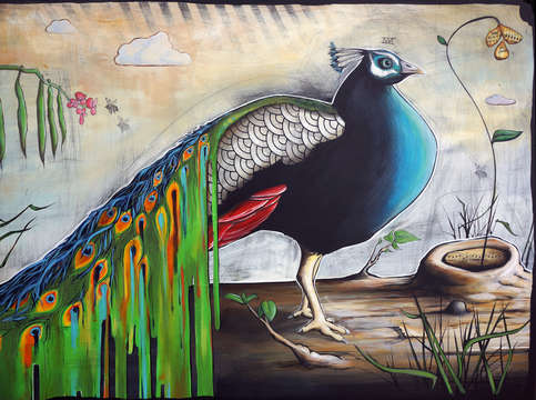 Peacock 6