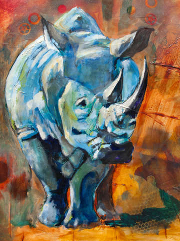 Rhino romp