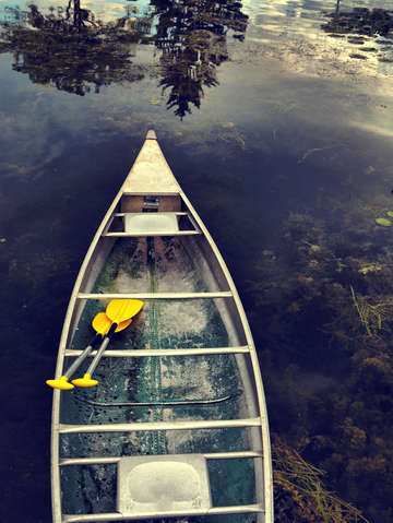 Canoe anticipation