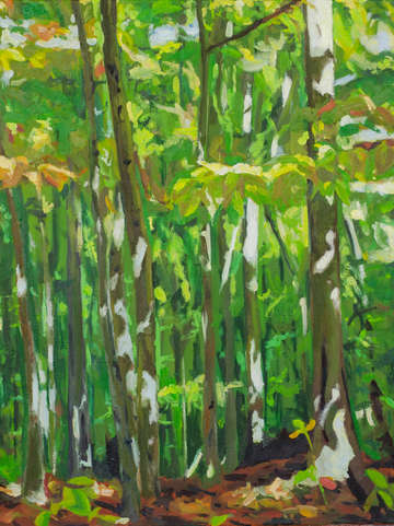 through the woods