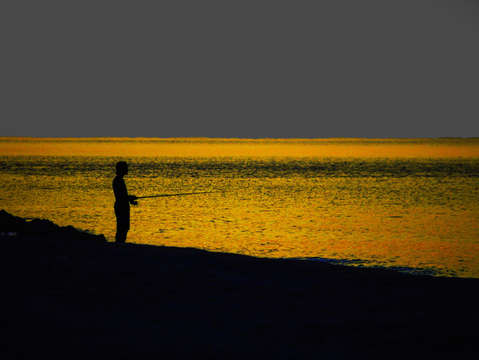 Fishing in the yellow sunrise