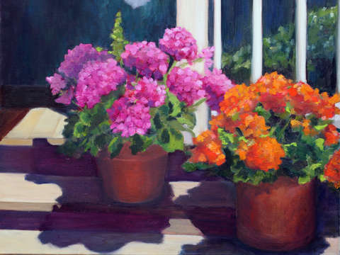 Geraniums 5