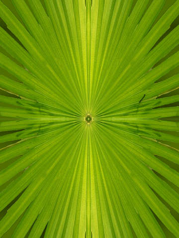 Greenburst