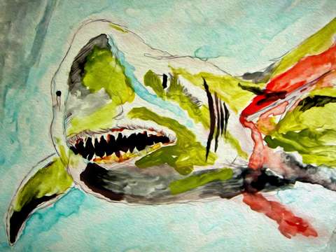 Great white hope
