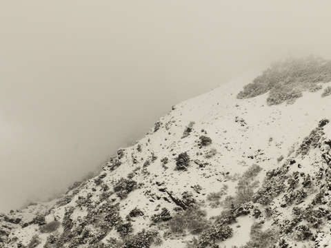 Untitled snow 1