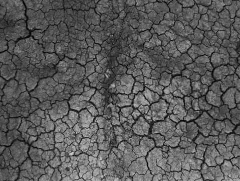 Untitled texture 1