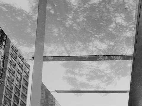 Untitled 0828 22a nyc