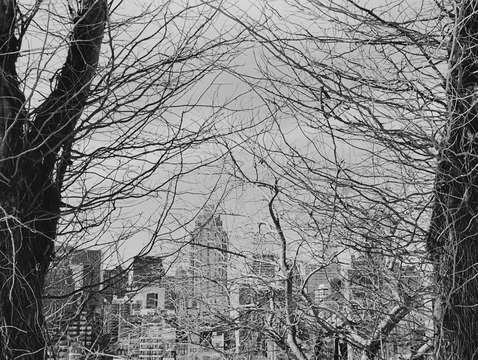 Untitled 1005 8a nyc